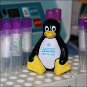 Labcold's mascot enjoying spending time in the lab