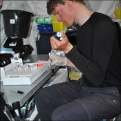 Tom Adams processing the blood samples in the main lab