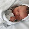 Bambino Mackenney
